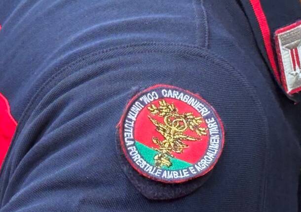 carabinieri forestali 