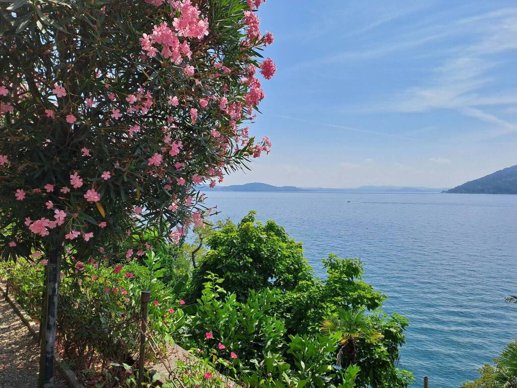 Isole Borromee (Giovanni Talamona)