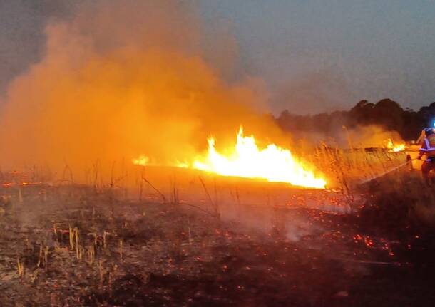 I Volontari del Parco delle Groane in Sardegna contro gli incendi boschivi