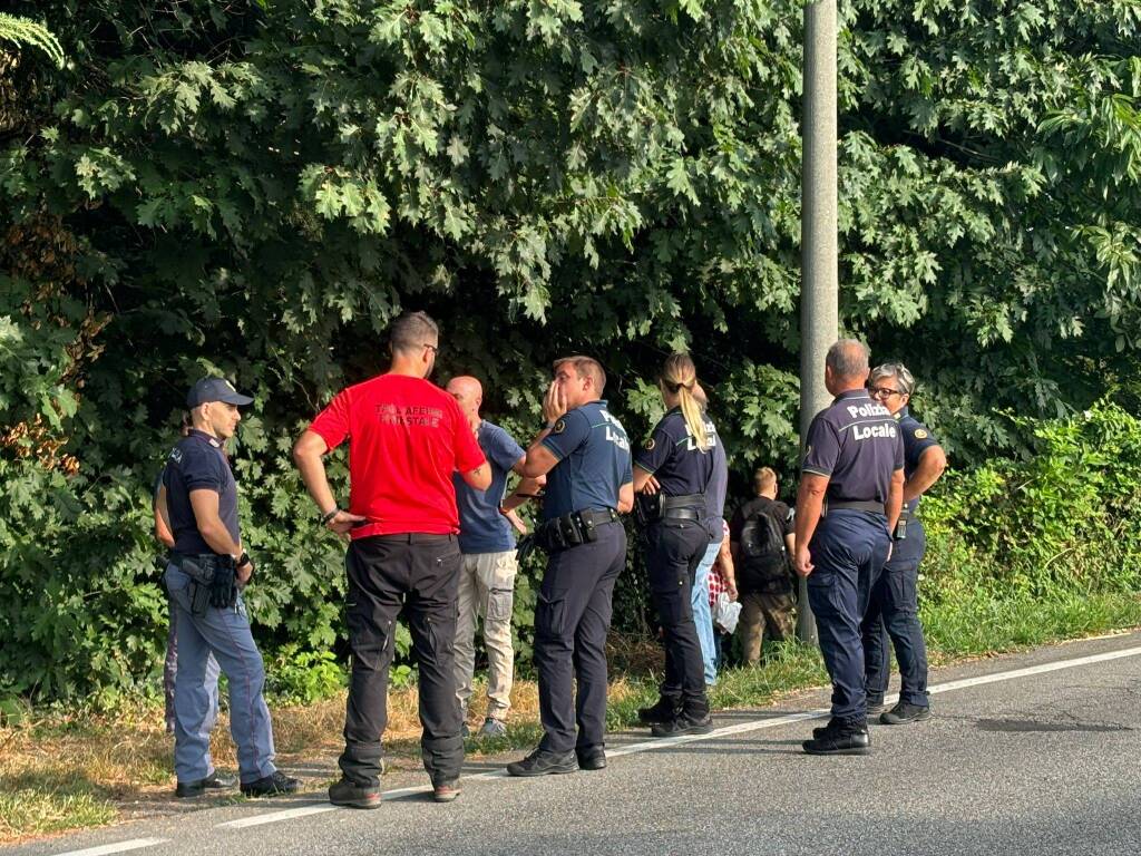 Protesta contro l'abbattimento degli alberi in via Curtatone a Gallarate