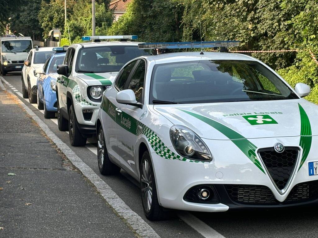 Protesta contro l'abbattimento degli alberi in via Curtatone a Gallarate