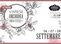 Varese Orchidea 