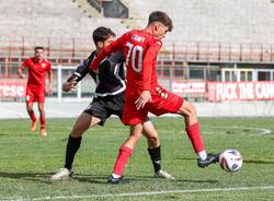 calcio varese albenga