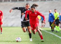 calcio varese albenga