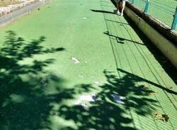 Campo bocce parco Castello Legnano