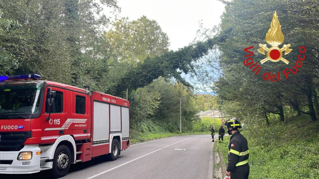 Vento, gli interventi in provincia di Como