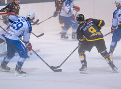 hockey como mastini varese 2024 2025 dylan ghiglione