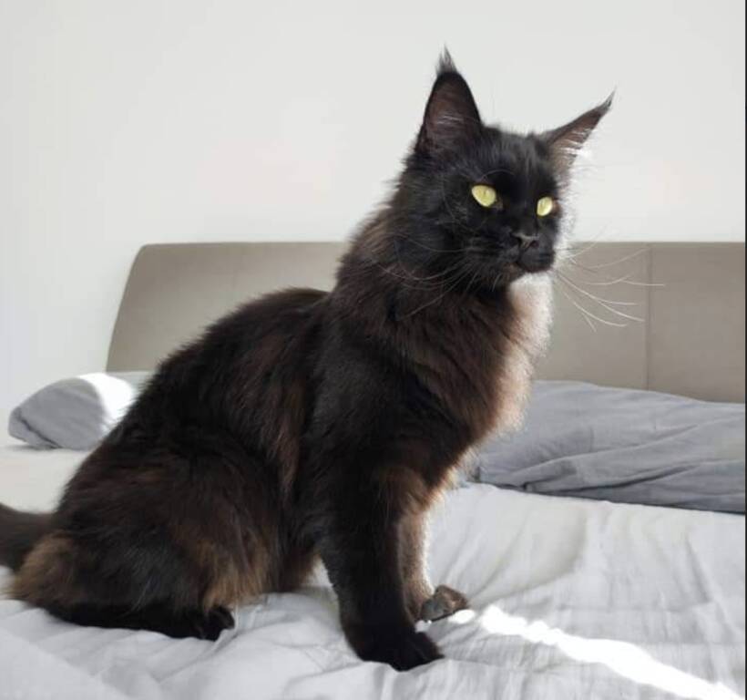 Kiki
