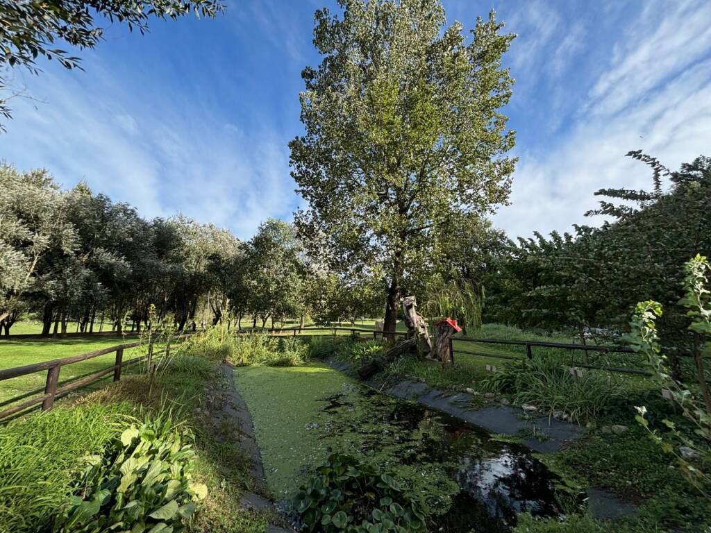 Lonate Ceppino - Camminata in Valle Olona con Lo Scoiattolo