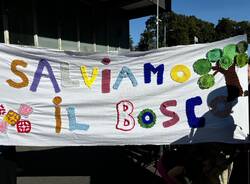 Manifestazione Gallarate via Curtatone
