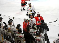 Mastini Varese - Zinner Dolomites