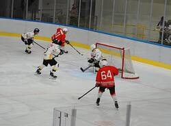 Mastini Varese - Zinner Dolomites