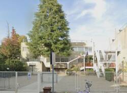 scuole primarie gallarate