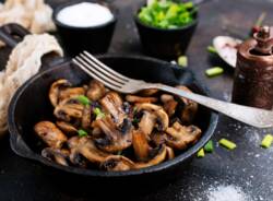 funghi