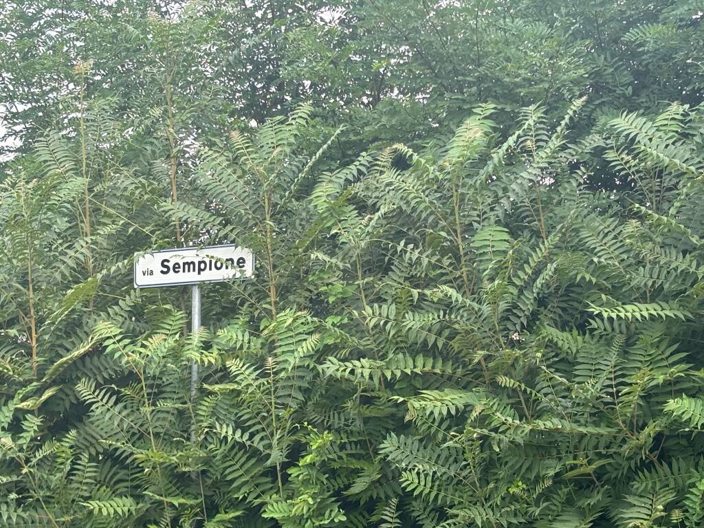 Statale Sempione 