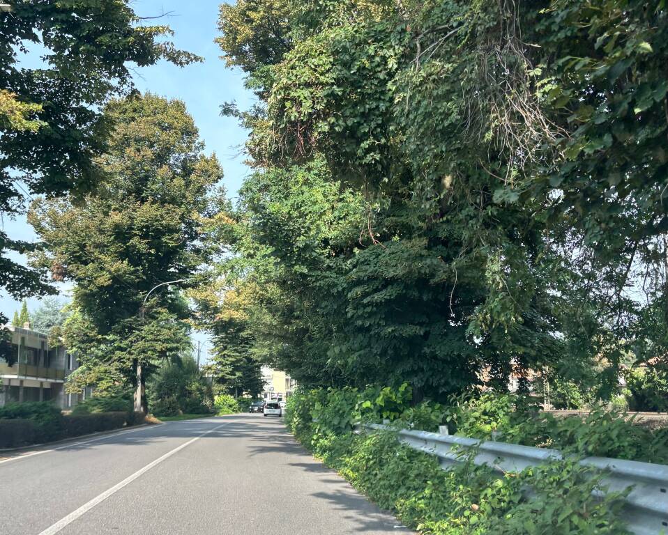 Statale Sempione 