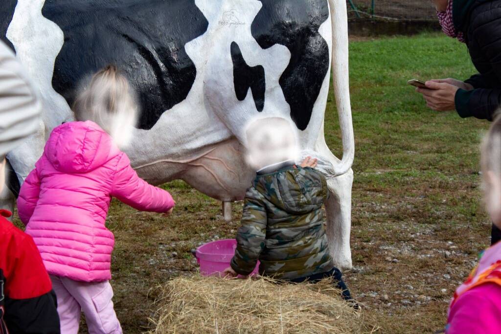 AgriMornago “le origini”