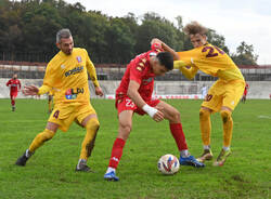calcio varese saluzzo