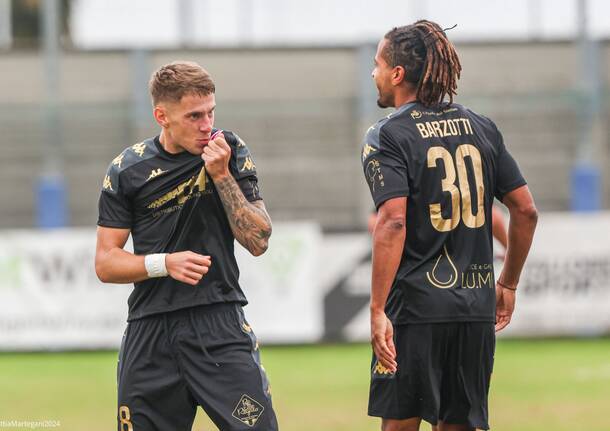 Borgaro - Varese