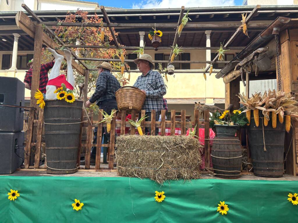 Festa dell'uva Gallarate - Sfilata carri allegorici