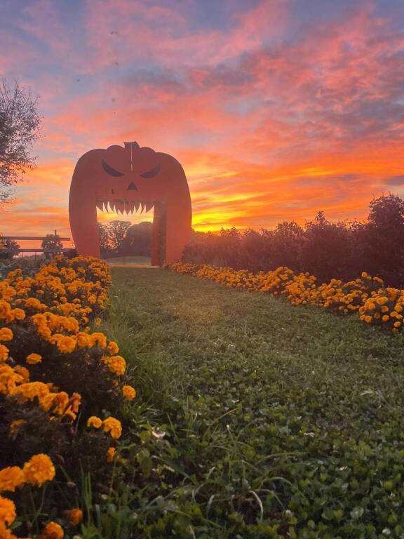 Festa della zucca - Il Roccolo