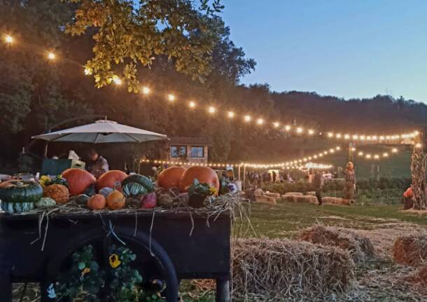 Festa della zucca - Il Roccolo