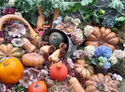 La sagra della Zucca di Agra 