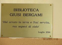 liceo ferraris