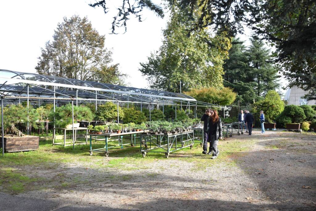 Museo Crespi Bonsai 