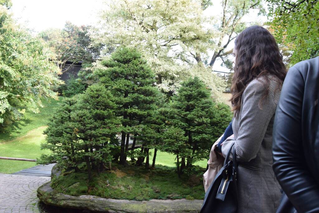 Museo Crespi Bonsai 