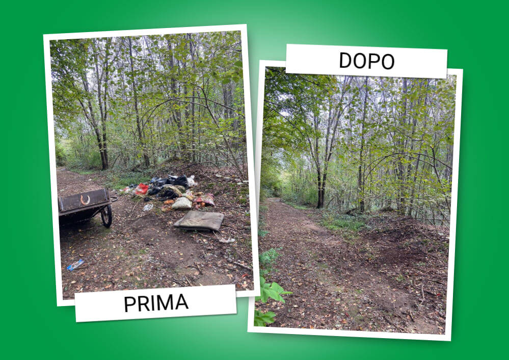 Pulizia del bosco del Rugareto a Rescaldina in occasione di Puliamo il Mondo