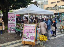 saronno - Idee in centro 2024