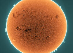 sole
