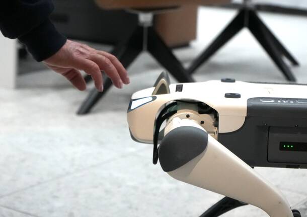 Tra robot e nuovi marchi Clerici Auto riapre a Varese