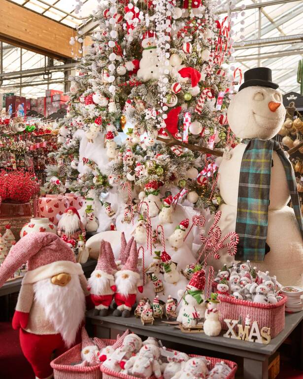 Agricola, Natale 2024