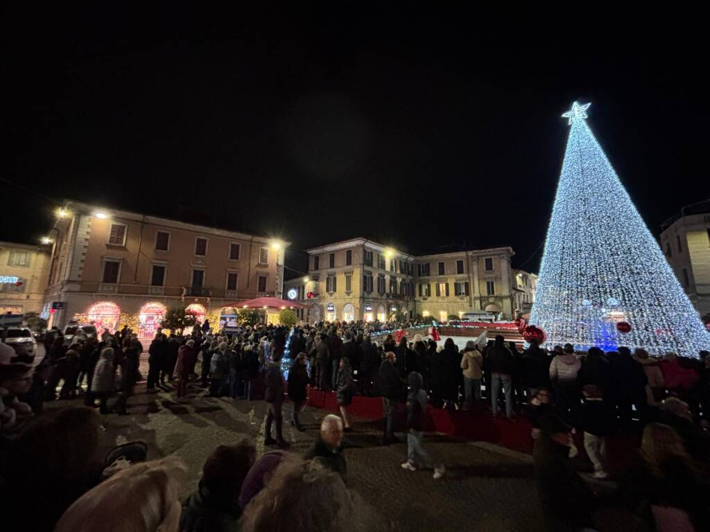 albero di Natale Gallarate