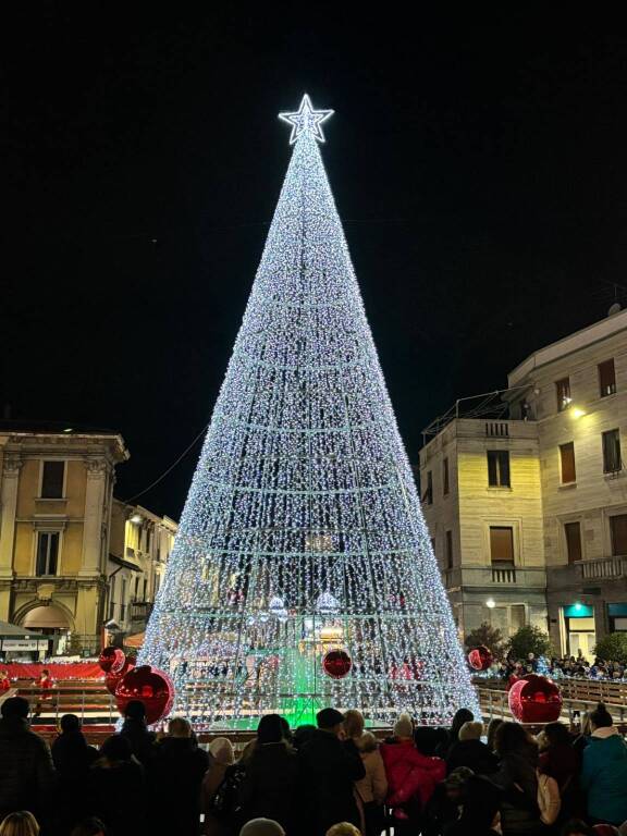 albero di Natale Gallarate