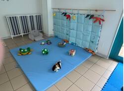 Asilo Sant'Anna Bodio Lomnago