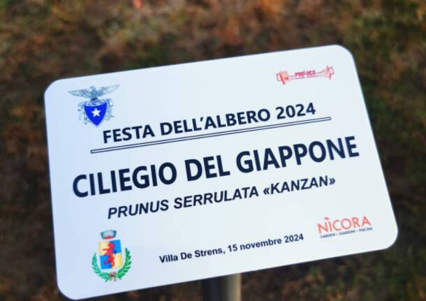 Festa dell'albero gazzada schianno