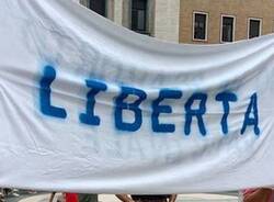 Generico 11 Nov 2024