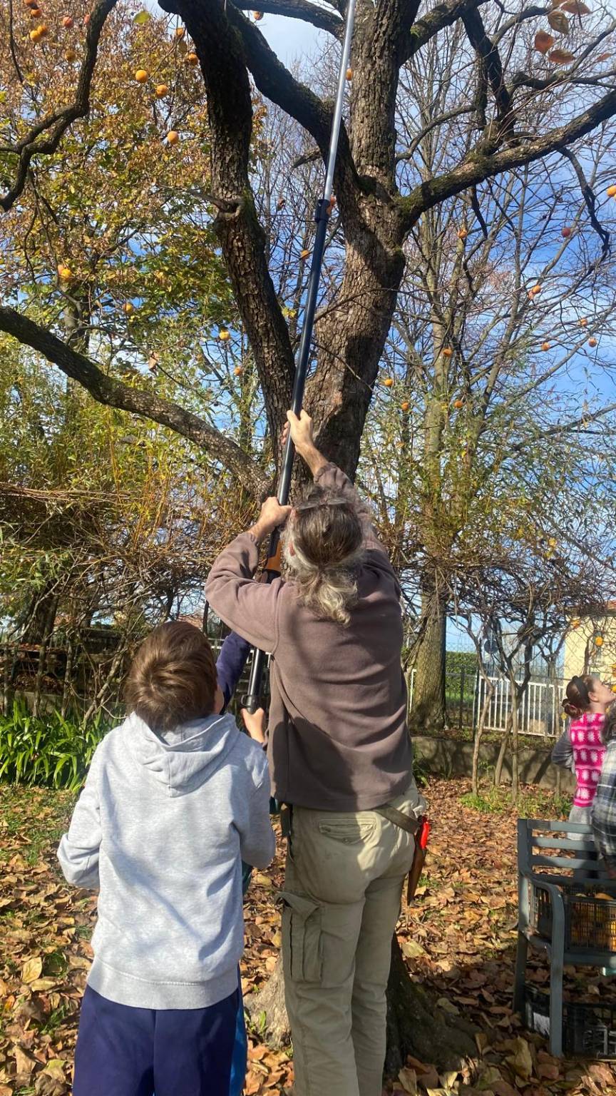 Grande festa del giardino nella scuola primaria di Morosolo