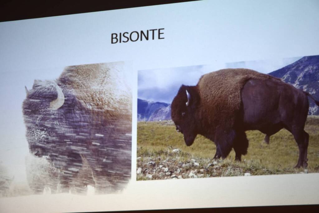 Incontro con Andrea Giorgetti e i “fratelli” animali”, a cura di Pasquale Antonio Emanuele