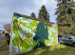 Murale samarate 