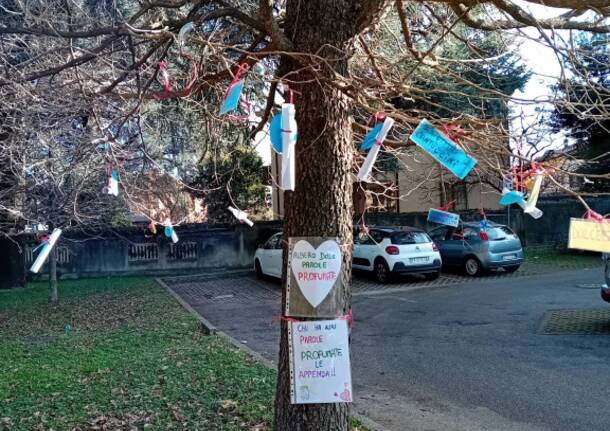 Albero profumato