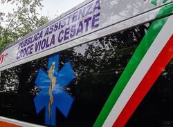 Cesate - Croce Viola