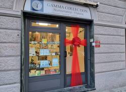 Gamma Collection Varese