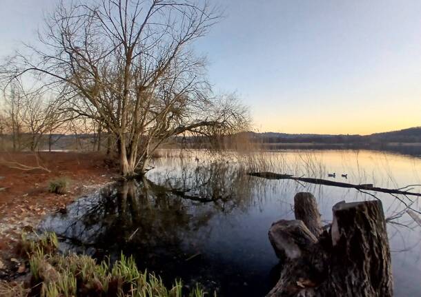 Lago di Varese Schiranna in inverno