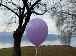 Le Farfalle Lilla Lago Maggiore Ispra 