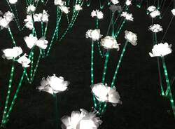 Le Lucine di Natale 2025 - Leggiuno 