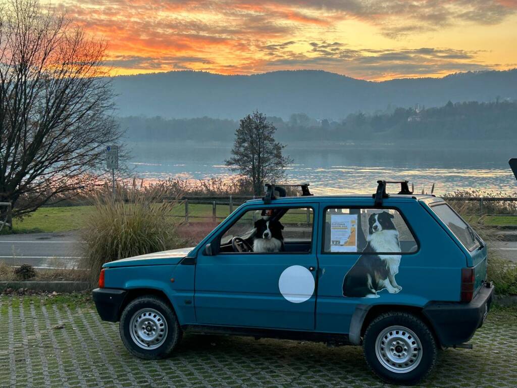 Rust 2 Dakar